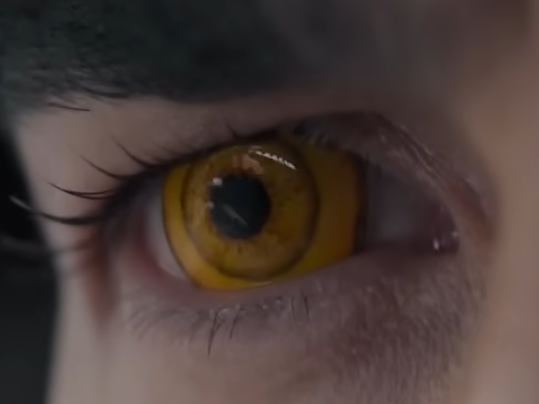 dracule mihawk oeil-de-faucon epeiste one piece live action netflix homme yeux-jaunes cheveux-noirs steven ward sud-africain