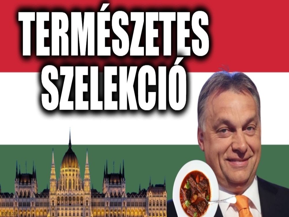 termeszetes szelekcio selection naturelle hongrie parlement hongrois goulash vitkor orban