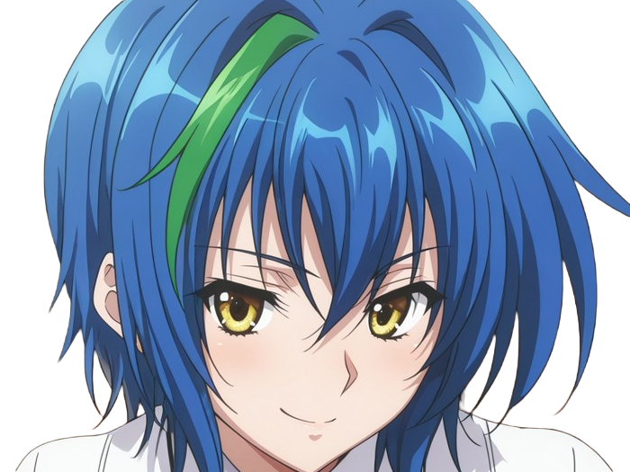 xenovia quarta demon reincarne etudiante high school dxd anime manga bleus femme waifu