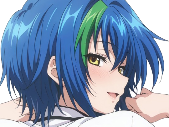 xenovia quarta demon reincarne etudiante high school dxd anime manga bleus femme waifu