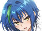 xenovia-quarta-demon-reincarne-etudiante-high-school-dxd-anime-manga-bleus-femme-waifu