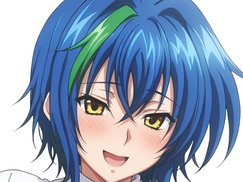 xenovia quarta demon reincarne etudiante high school dxd anime manga bleus femme waifu