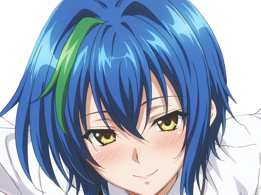xenovia quarta demon reincarne etudiante high school dxd anime manga bleus femme waifu