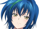 xenovia-quarta-demon-reincarne-etudiante-high-school-dxd-anime-manga-bleus-femme-waifu