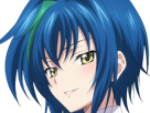 xenovia-quarta-demon-reincarne-etudiante-high-school-dxd-anime-manga-bleus-femme-waifu