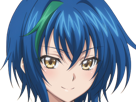 xenovia-quarta-demon-reincarne-etudiante-high-school-dxd-anime-manga-bleus-femme-waifu