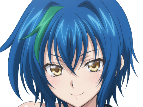 xenovia quarta demon reincarne etudiante high school dxd anime manga bleus femme waifu