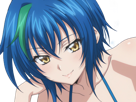 xenovia-quarta-demon-reincarne-etudiante-high-school-dxd-anime-manga-bleus-femme-waifu