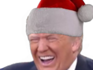 donald-trump-rire-bonnet-noel