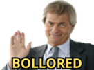 coucou-salut-vivendi-canal-politic-vincent-bollore-hello-bollored