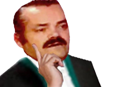 celestin fic poudlard serpentard eleve risitas arseneur mari de camille fait par vune