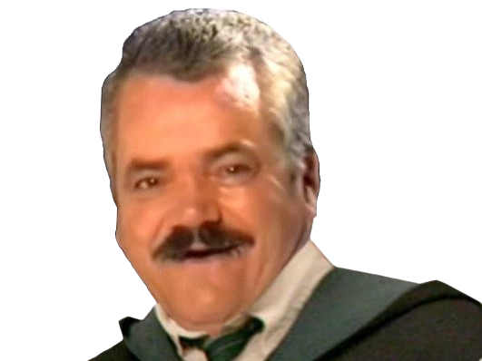 celestin fic poudlard serpentard eleve risitas arseneur mari de camille fait par vune