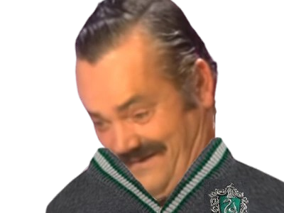 celestin fic poudlard serpentard eleve risitas arseneur mari de camille fait par vune