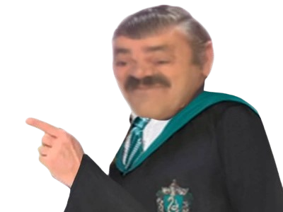 celestin fic poudlard serpentard eleve risitas arseneur mari de camille fait par vune