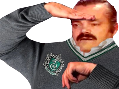 celestin fic poudlard serpentard eleve risitas arseneur mari de camille fait par vune