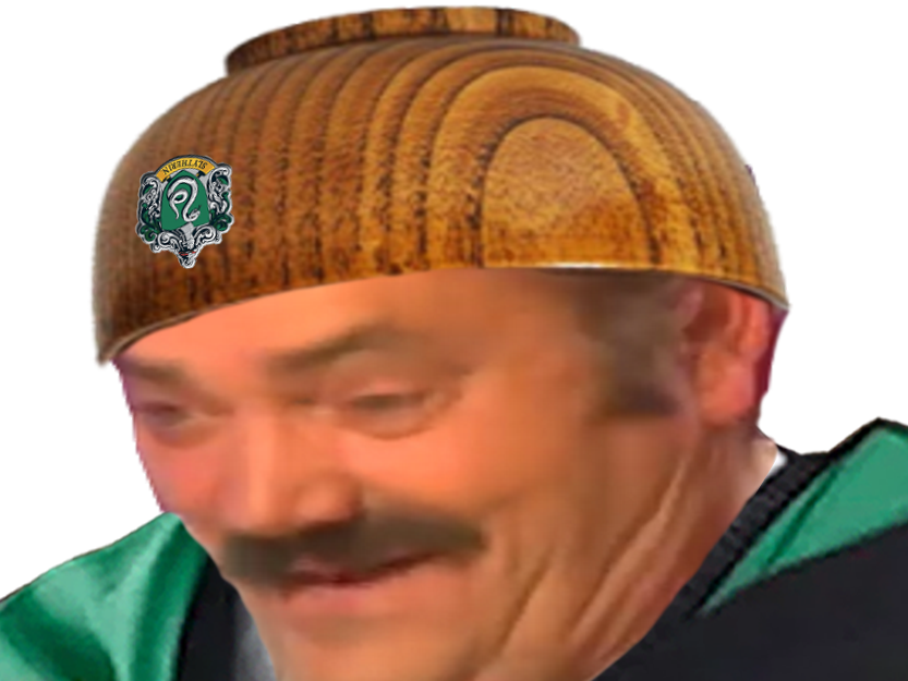 celestin fic poudlard serpentard eleve risitas arseneur mari de camille