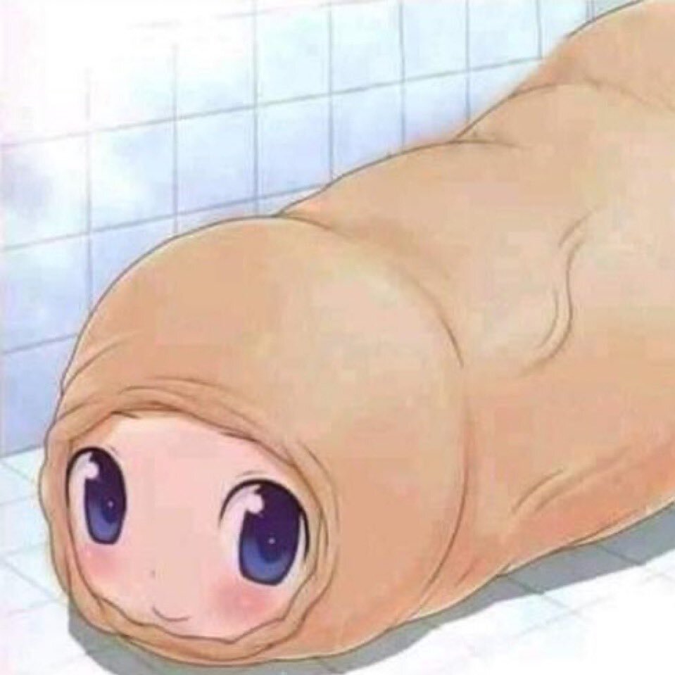 prepuce gland circoncis circoncision bite queue uretre decalotter