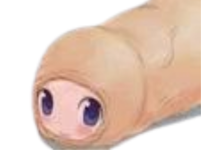 prepuce gland circoncis circoncision bite queue uretre decalotter kawai kawaii mignon