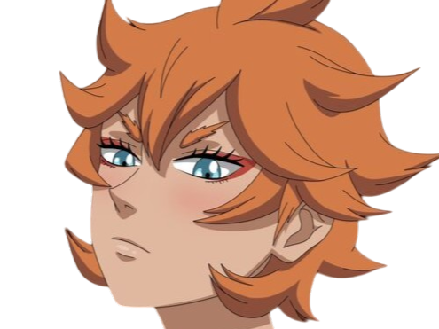 mereoleona vermillion black clover