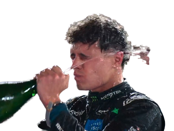 f1 formula lando norris champion 2025