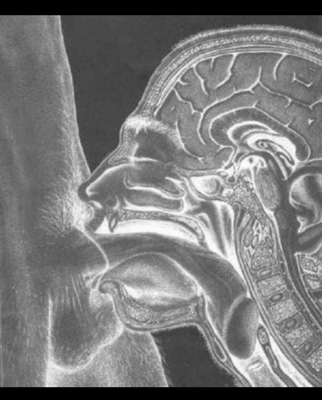 gobe chibre zob teub bite gorge profonde radio