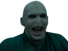 tf1-harry-potter-est-mort-voldemort-rire-hehehe