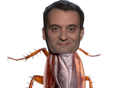 philippot phillipot politique cafard blatte insecte malin monstre animal politicien floriant philipprout ruse