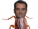 philippot-phillipot-politique-cafard-blatte-insecte-malin-monstre-animal-politicien-floriant-philipprout-ruse