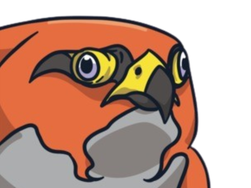 flambusard talonflame pokemon nintendo moupe 6g feu vol pigeon flammes