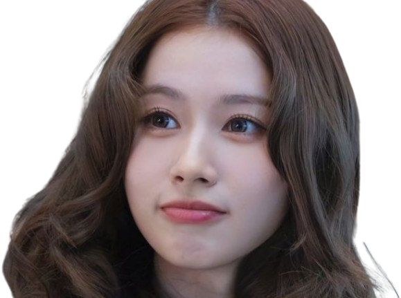 sana minatozaki kpop twice idol japonaise fille femme mignonne cute cheeks