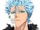 bleach-manga-grimmjow