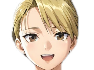 riza hawkeye fullmetal alchemist anime manga waifu blonde fma