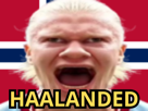 erling-haaland-haalanded-haland-halanded-norvege-norvegien-drapeau-robot-miroir-viking-manchester-city