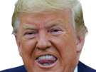 trump-donald-langue-bouche-grimace-serpent-usa-etats-unis-make-america-great-again-maga-president-knifos