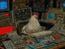 poule-chicken-future-futur-fiction-vaisseau-espace-space-cockpit-univers-science