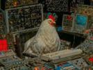 poule-poulet-chicken-future-futur-fiction-vaisseau-clavier-cockpit-space-espace-univers-science