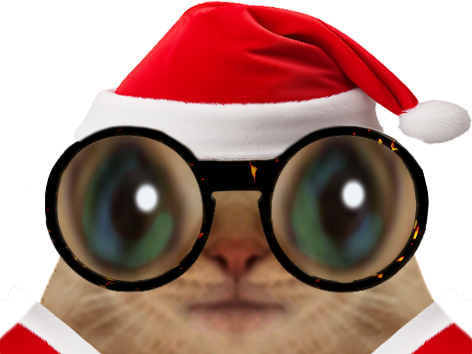 chat lunette chatlunette noel observer regarder regard hagard silence grosyeux