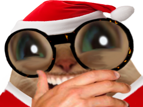 chat lunette chatlunette noel grosyeux rire lol mdr hilarant main christmas mainbouche sourire