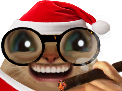 chat lunette chatlunette noel grosyeux rire lol mdr hilarant christmas sourire cigare pedant ironique arrogant