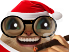 chat-lunette-chatlunette-noel-grosyeux-rire-lol-mdr-hilarant-christmas-sourire-cigare-pedant-ironique-arrogant