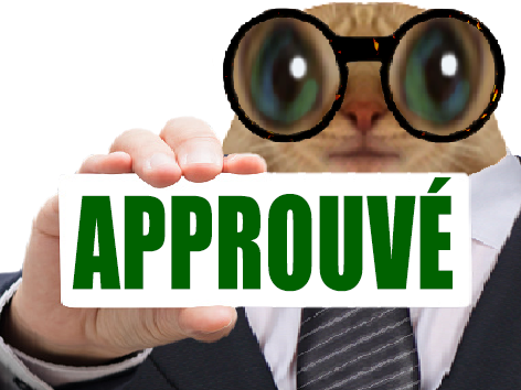 chat chatlunette costard serieux approuve valide validation validax regard cravatte panneau