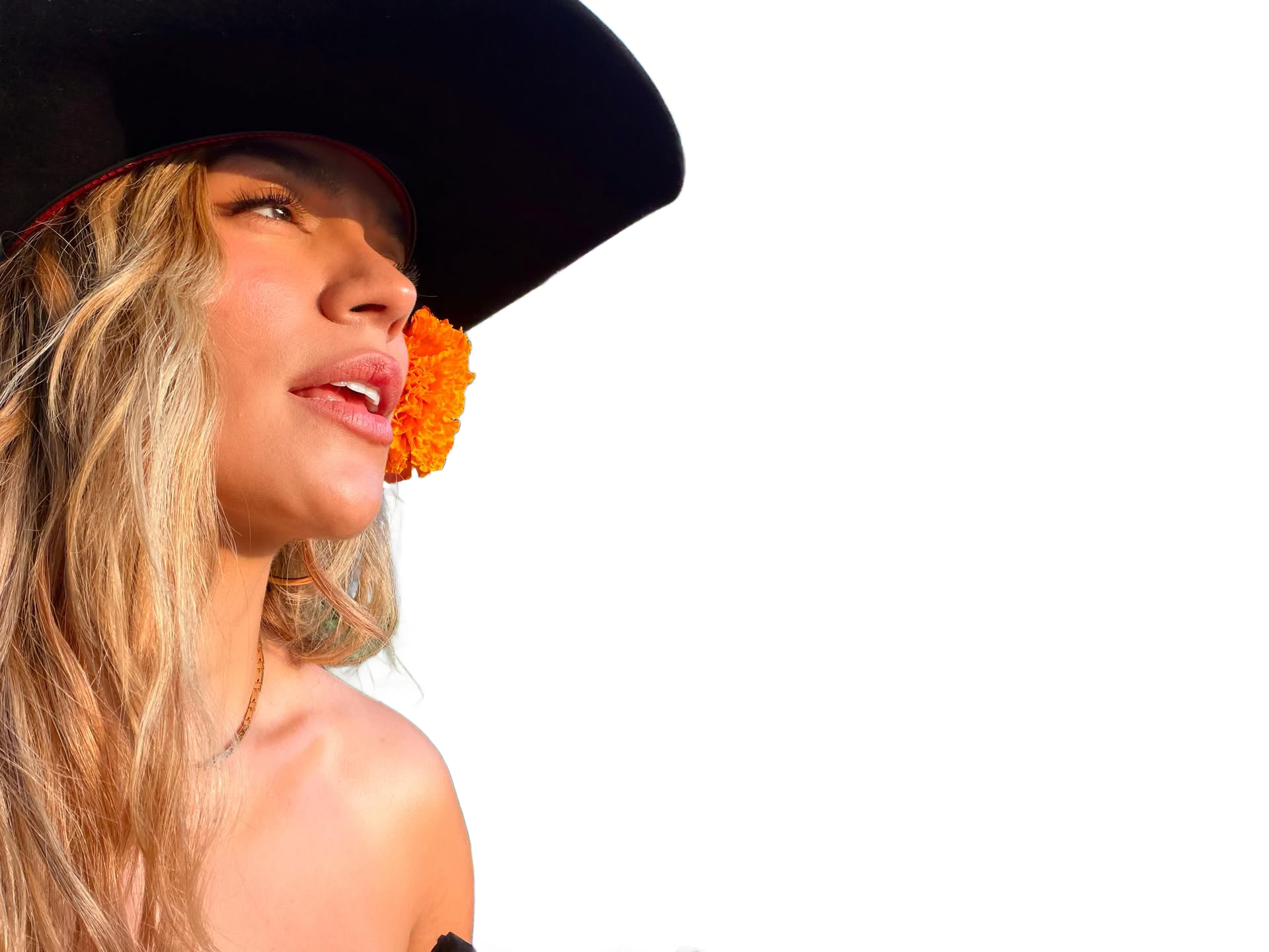 karol g ivonny bonita tropicoqueta mexico san miguel allende tequila 200 copas casa dragones