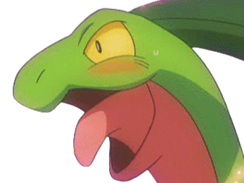 massko pokemon grovyle juptile