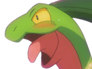 massko-pokemon-grovyle-juptile