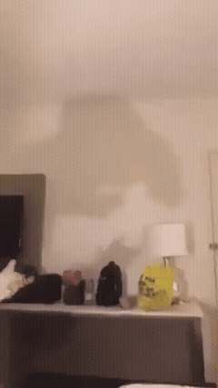 jifu frotte main chance larry judoka nez