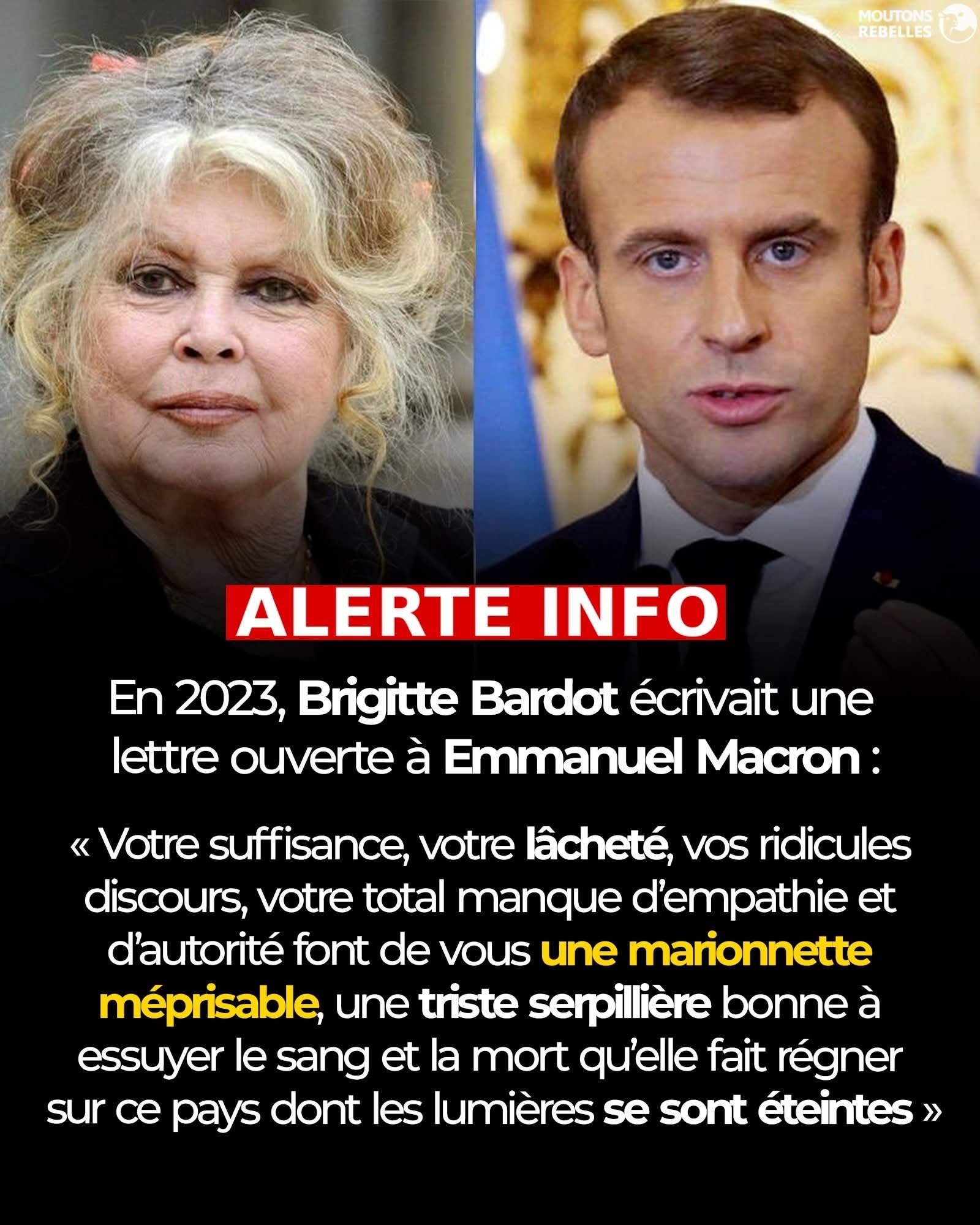 miche macrotte jupiter manu elysee scandal corrupt bi oil roth bardot bibi quote funest tribute