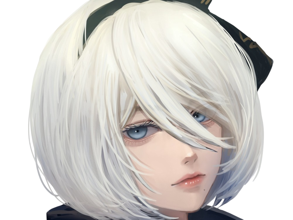 nier automata 2b