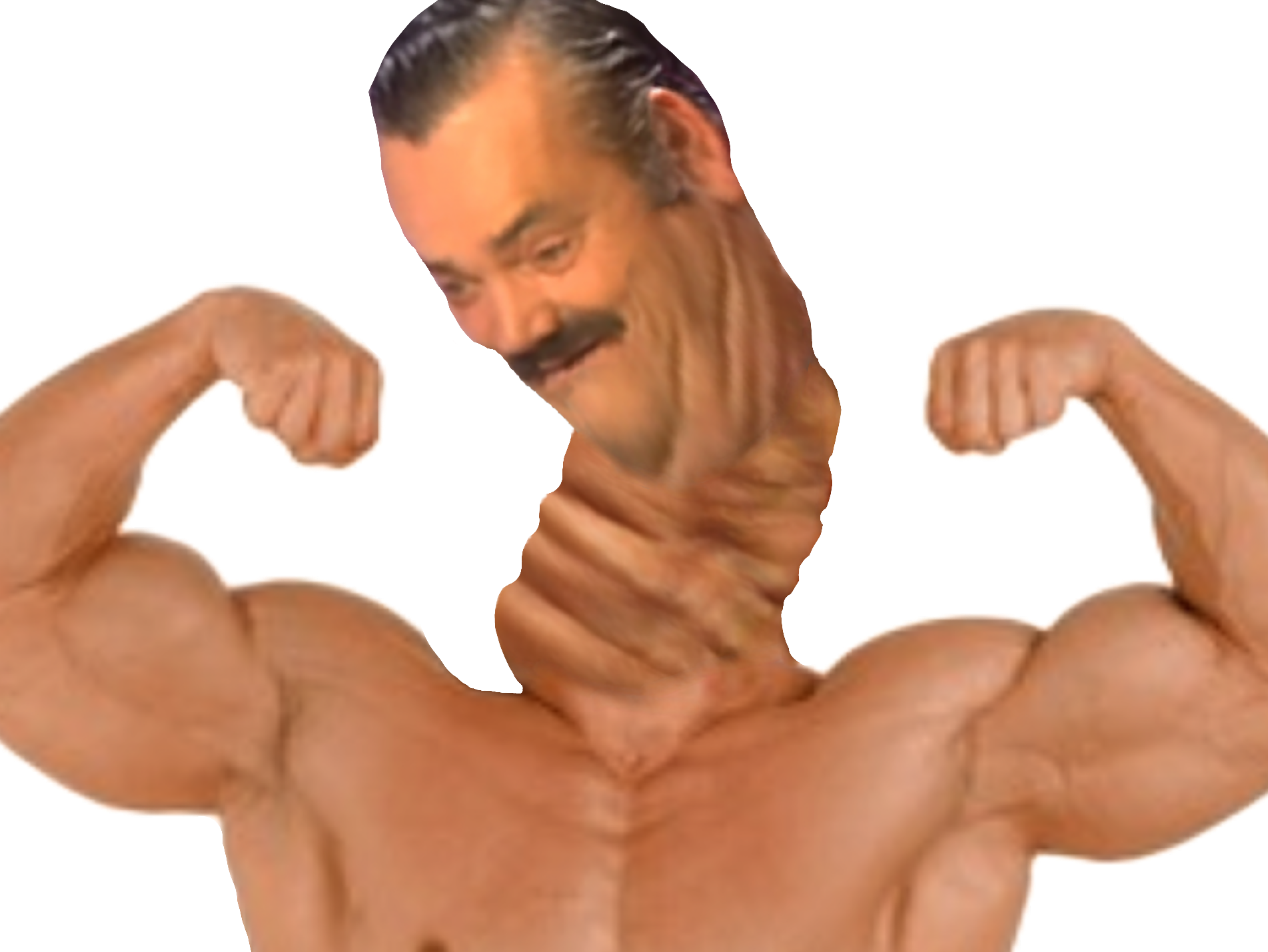 risitas go muscu long cou ahi ayao ataoy bodybuilder proteines prot steroides dopage muscle costaud