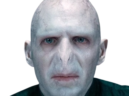 voldemort harry potter ouroboros