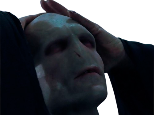 voldemort harry potter ouroboros